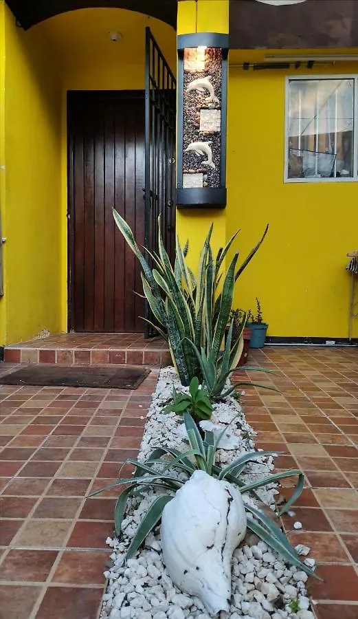 アパート Casa Tortuga En カンクン メキシコ